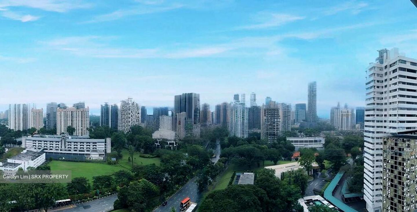Irwell Hill Residences (D9), Apartment #589737551